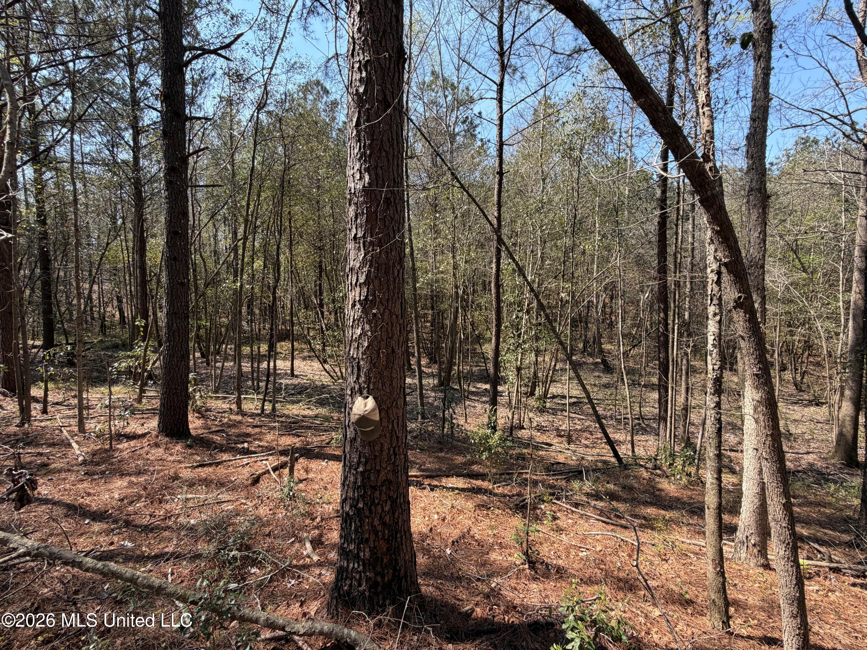 285 Mt Horeb Road Meridian, MS 39301 - Photo 2 of 27 2 (1) (1)