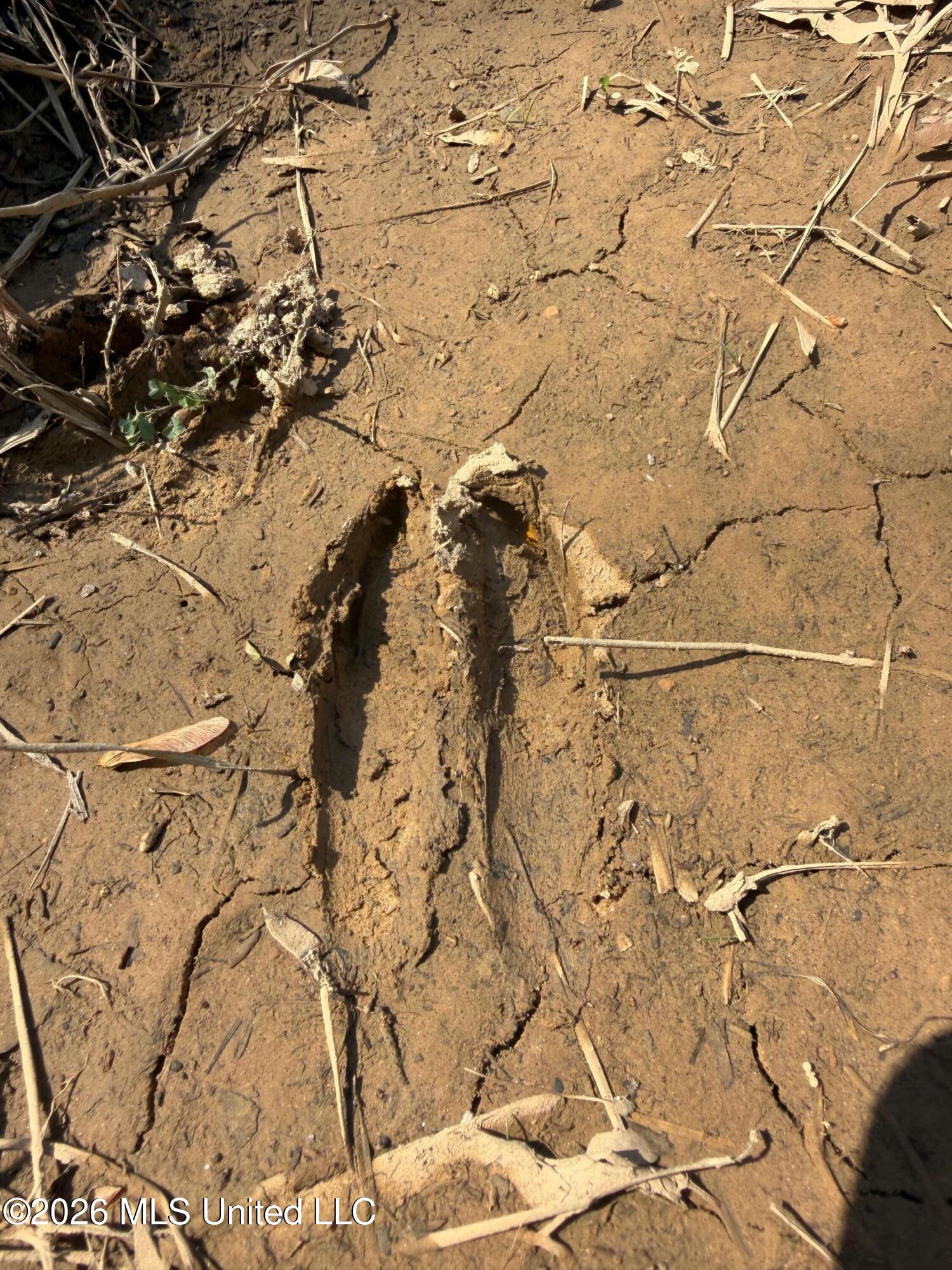 285 Mt Horeb Road Meridian, MS 39301 - Photo 22 of 27 Photo Mar 19 2026, 1 24 58 PM