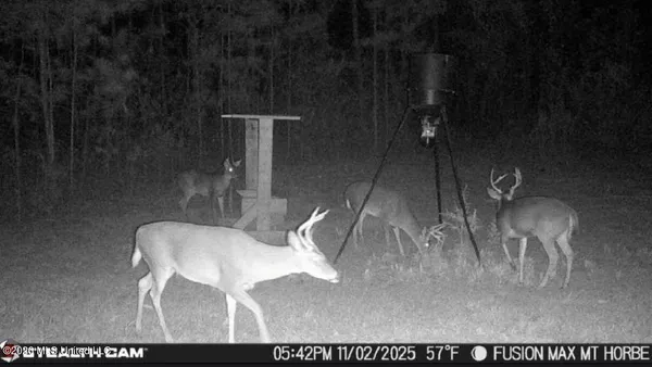 $65,000 | 285 Mt Horeb Road, Meridian, MS 39301