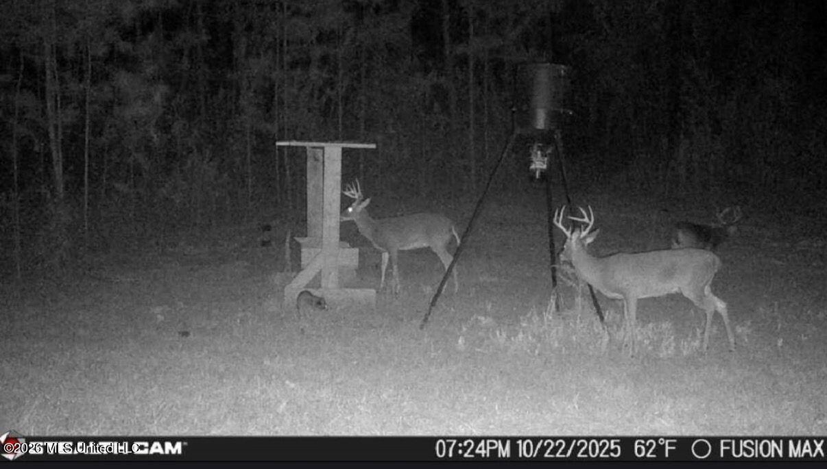 285 Mt Horeb Road Meridian, MS 39301 - Photo 24 of 27 Photo Mar 24 2026, 11 02 49 AM