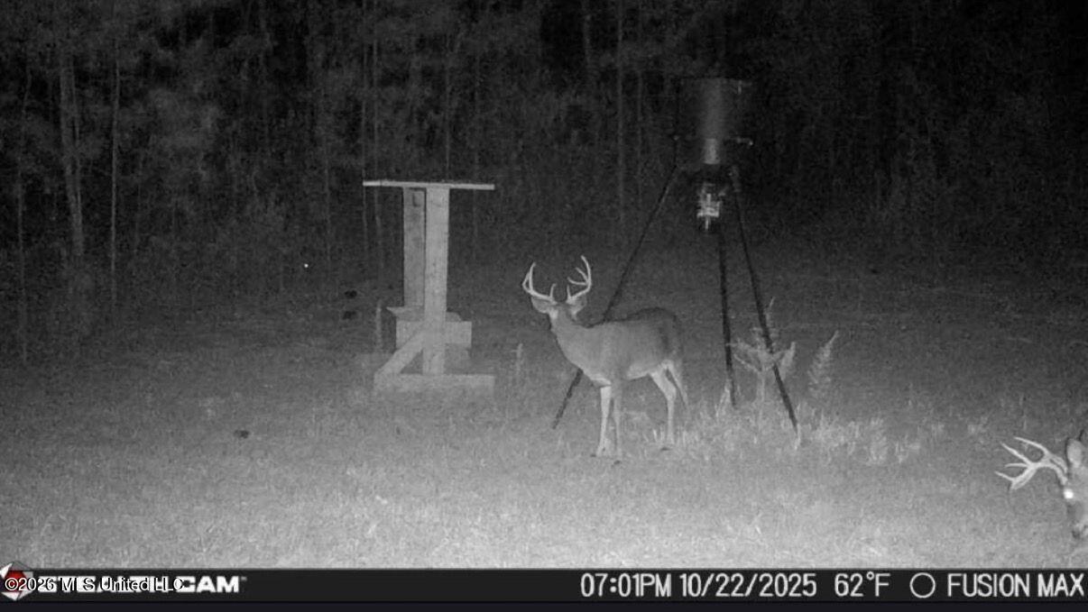 285 Mt Horeb Road Meridian, MS 39301 - Photo 25 of 27 Photo Mar 24 2026, 11 02 58 AM