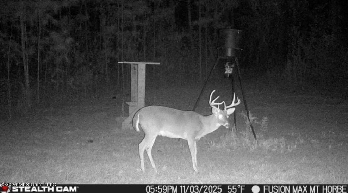 285 Mt Horeb Road Meridian, MS 39301 - Photo 26 of 27 Photo Mar 24 2026, 11 03 33 AM