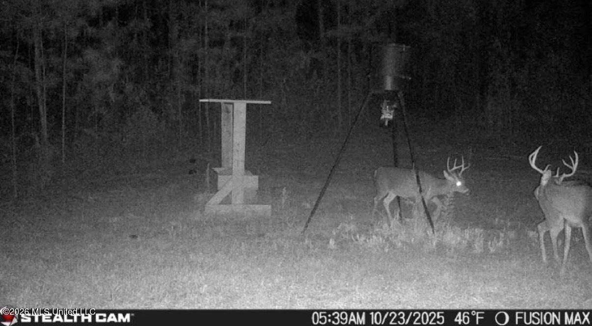 285 Mt Horeb Road Meridian, MS 39301 - Photo 3 of 27 3 (4)