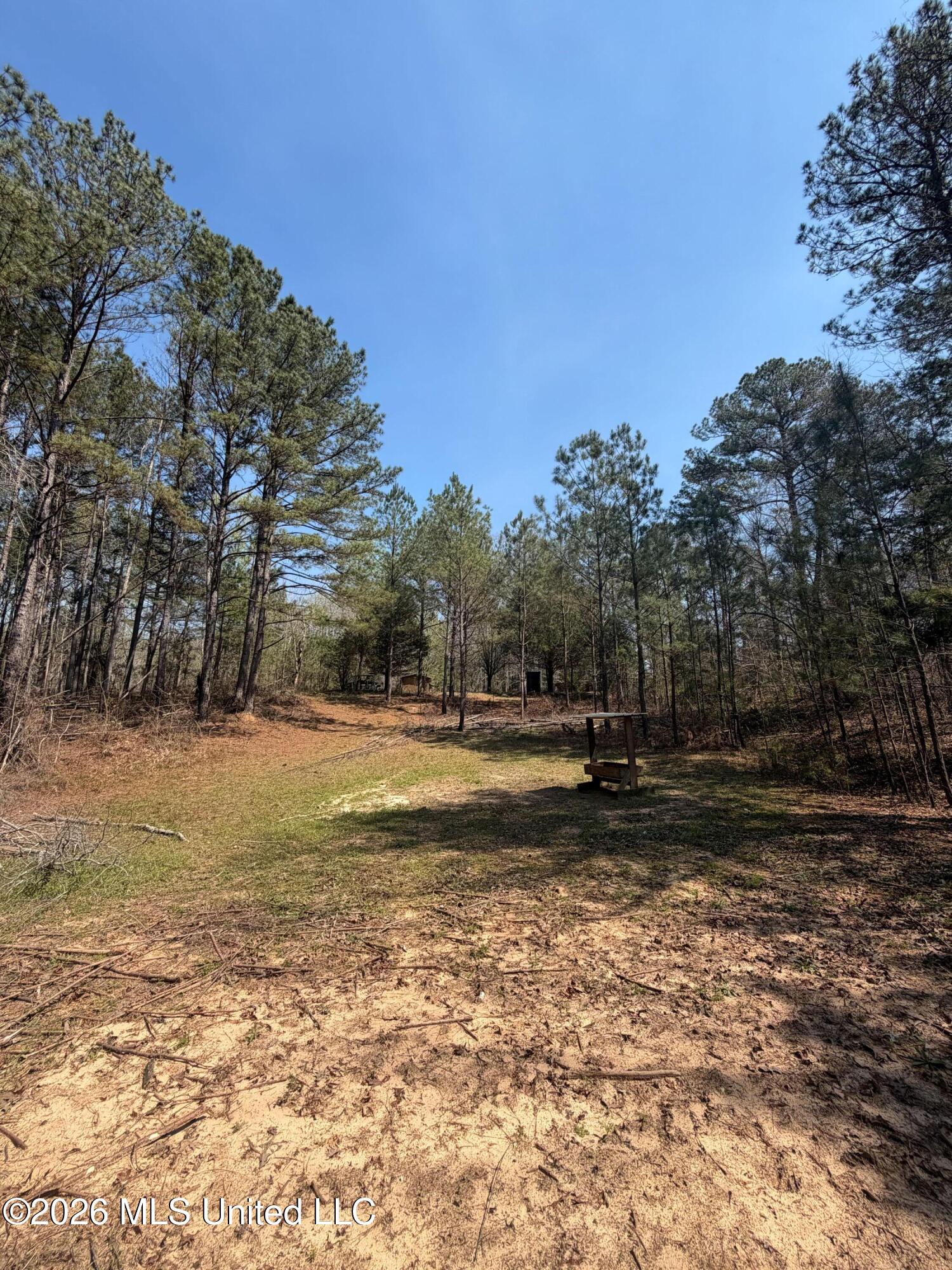 285 Mt Horeb Road Meridian, MS 39301 - Photo 6 of 27 6 (3)