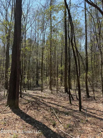 $65,000 | 285 Mt Horeb Road, Meridian, MS 39301