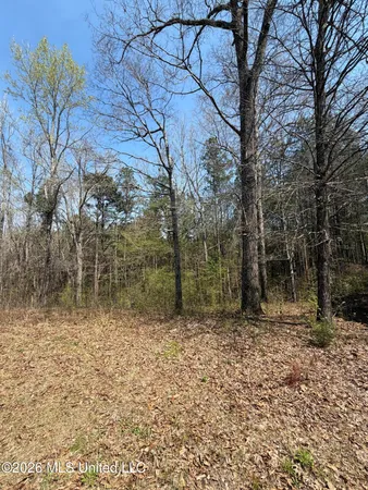 $65,000 | 285 Mt Horeb Road, Meridian, MS 39301