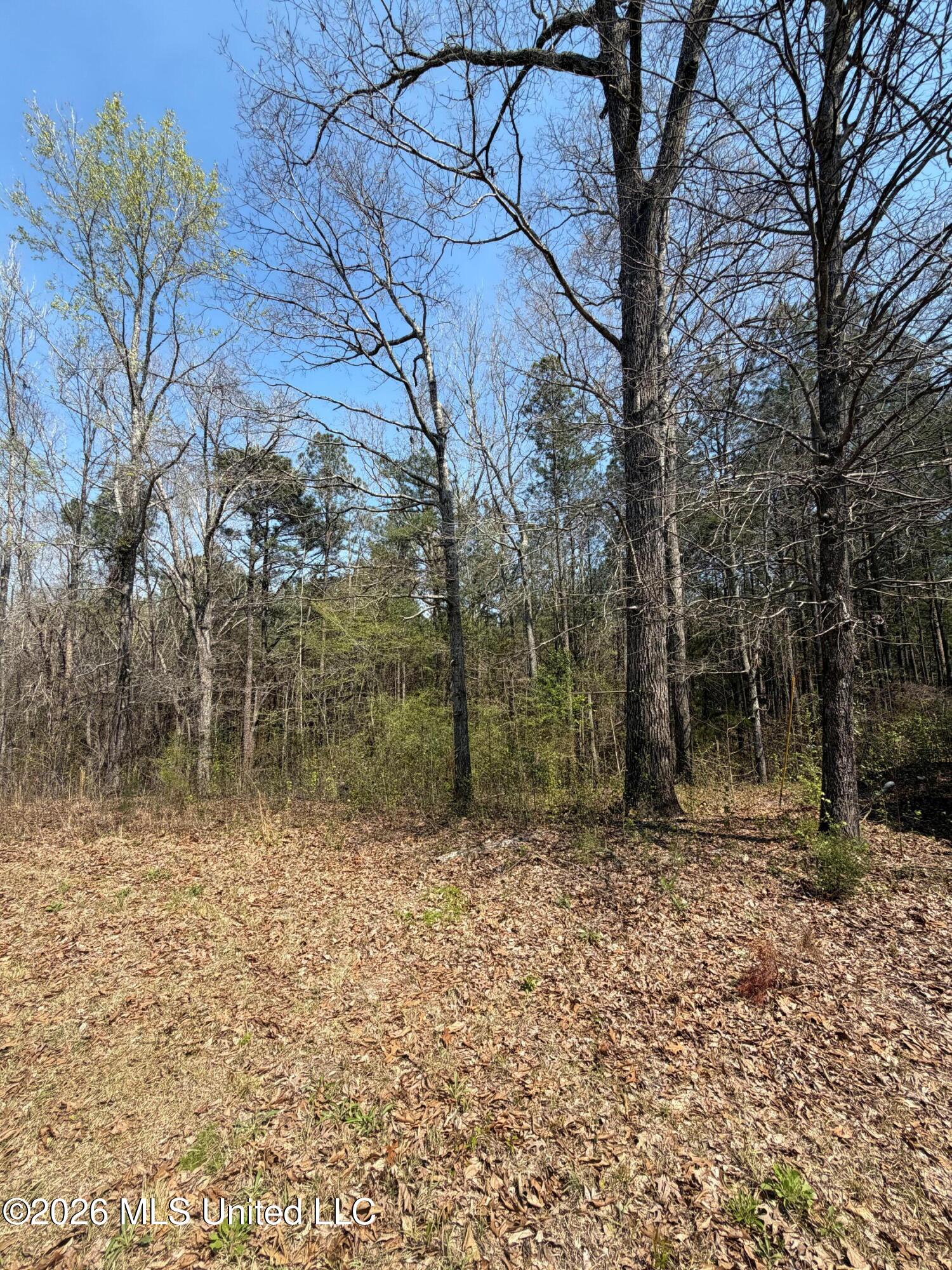 285 Mt Horeb Road Meridian, MS 39301 - Photo 8 of 27 8 (4)