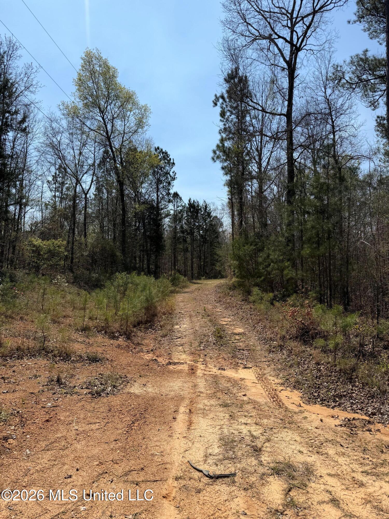 285 Mt Horeb Road Meridian, MS 39301 - Photo 9 of 27 9 (5)