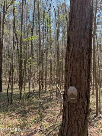 $65,000 | 285 Mt Horeb Road, Meridian, MS 39301