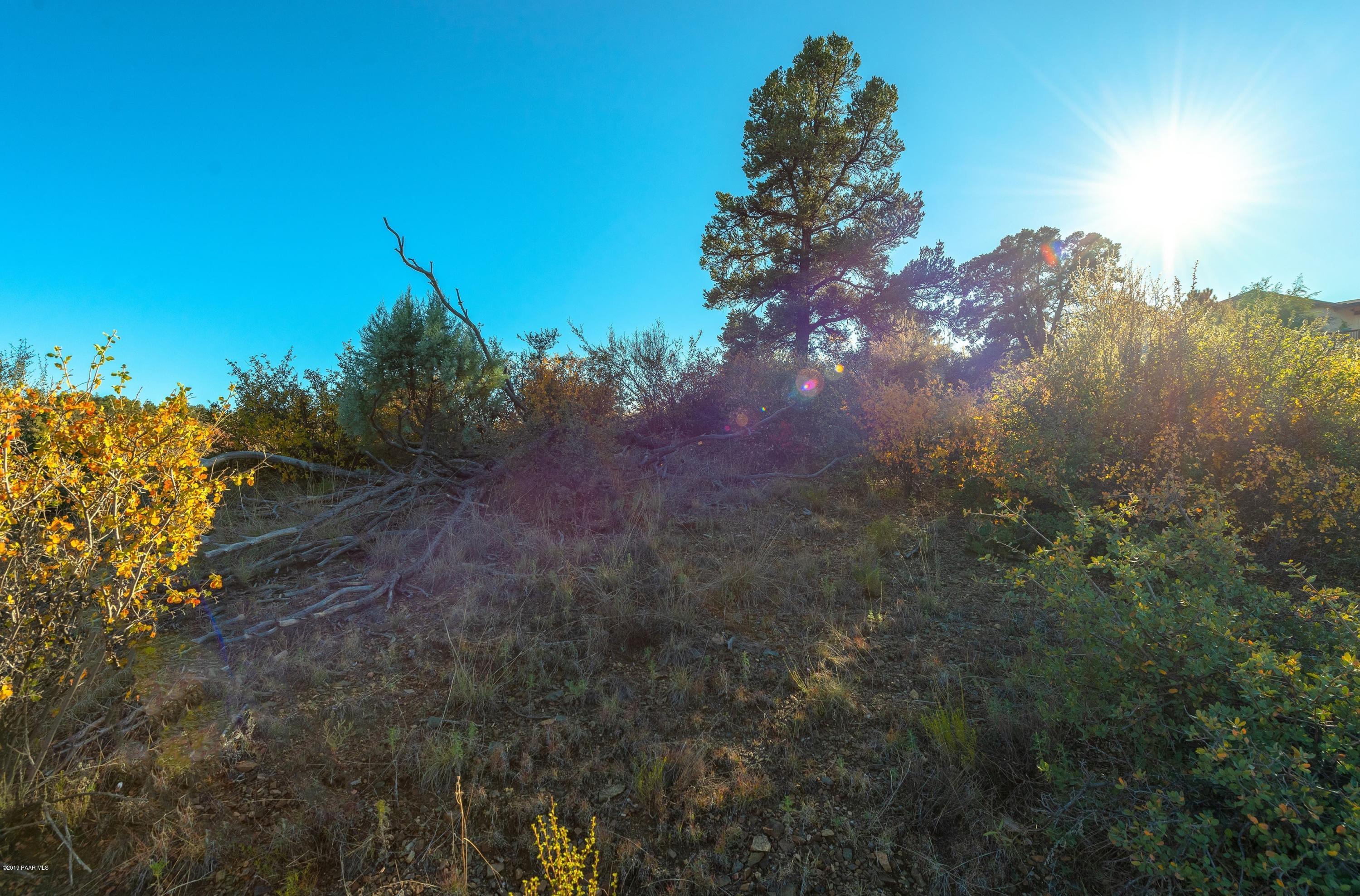 1105 Rhinestone Drive Prescott, AZ 86301 - Photo 15 of 24 015_East Looking West