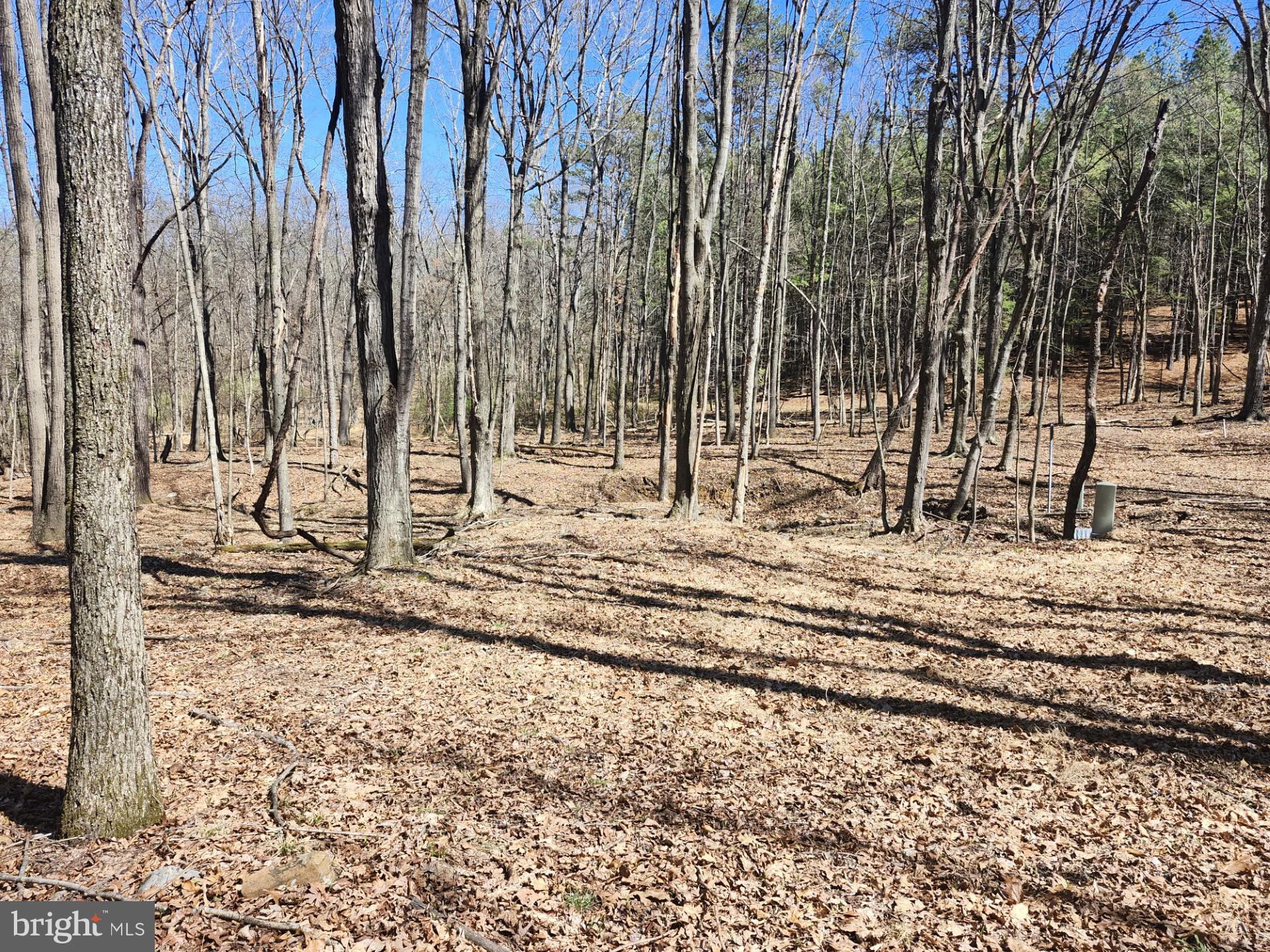 A J Kelley Road Old Fields, WV 26845 - Photo 27 of 65