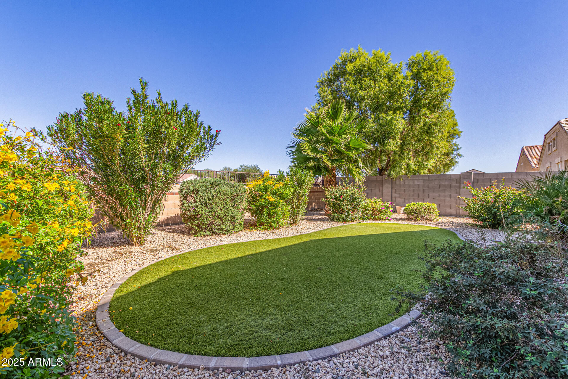41844 West Rosa Drive Maricopa, AZ 85138 - Photo 2 of 47 a view of a garden with a house