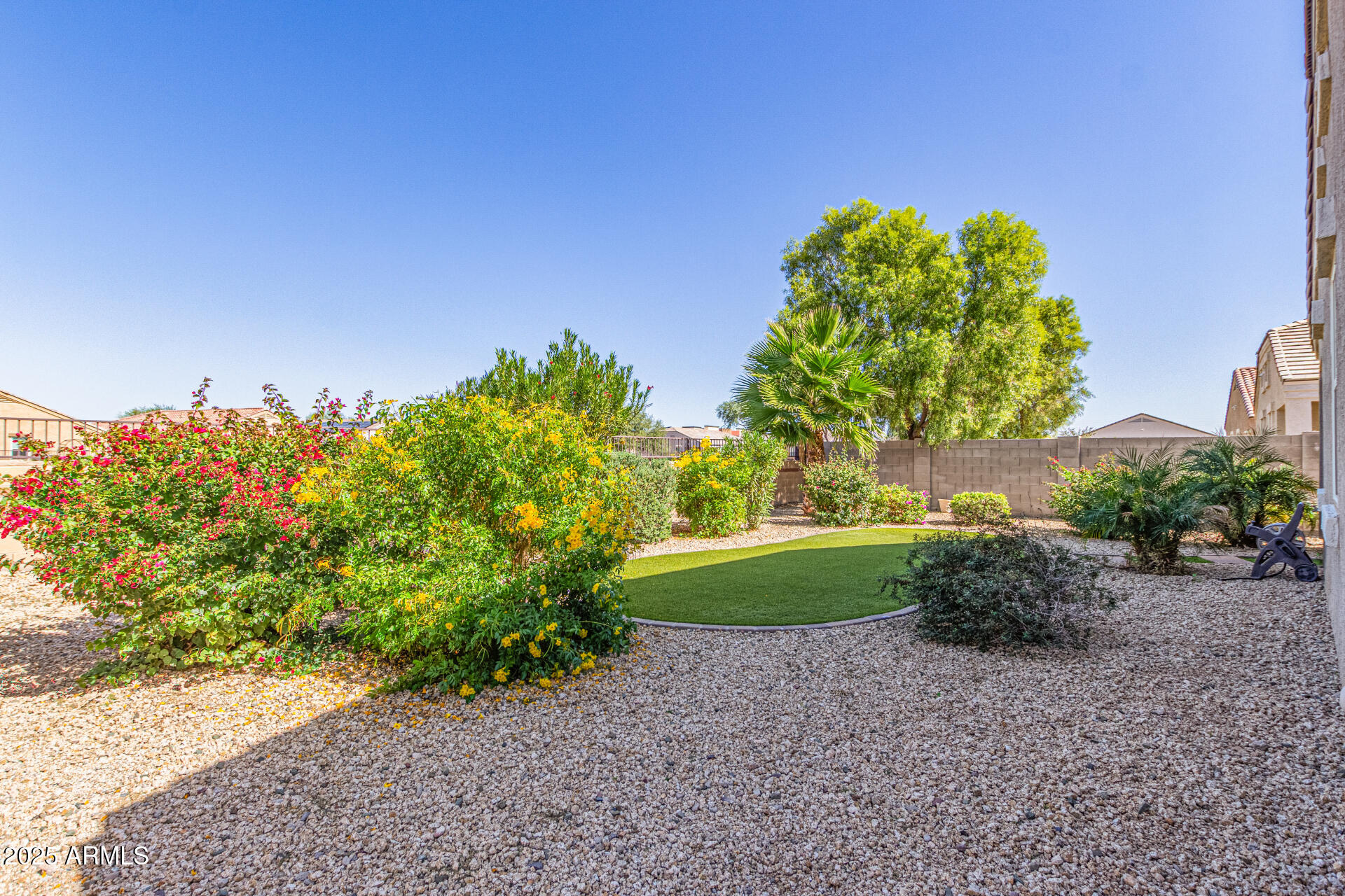 41844 West Rosa Drive Maricopa, AZ 85138 - Photo 42 of 47 a view of a garden with a tree in the background
