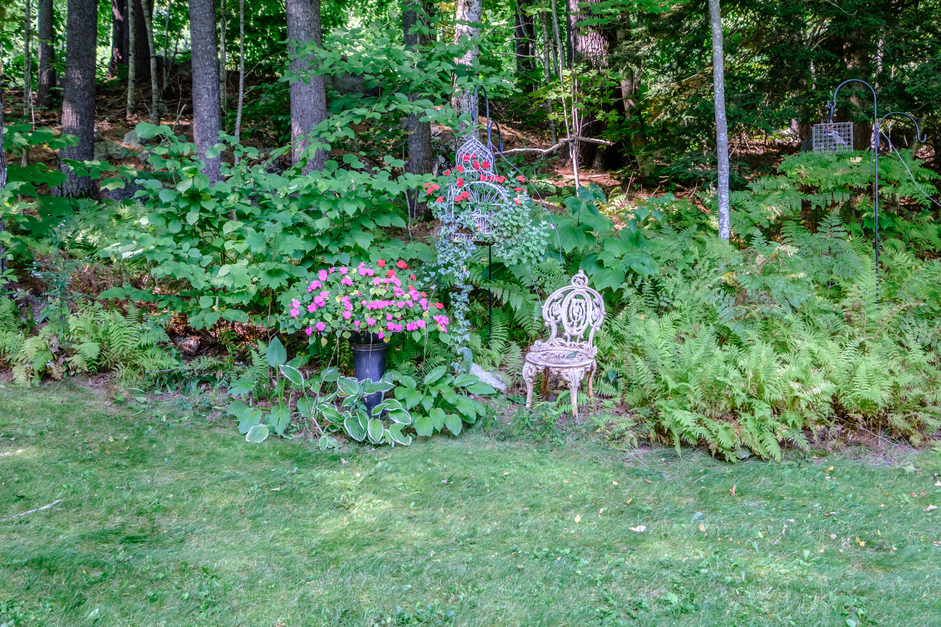 76 Meadow Road Raymond, ME 04071 - Photo 27 of 52 20240911gp-60037