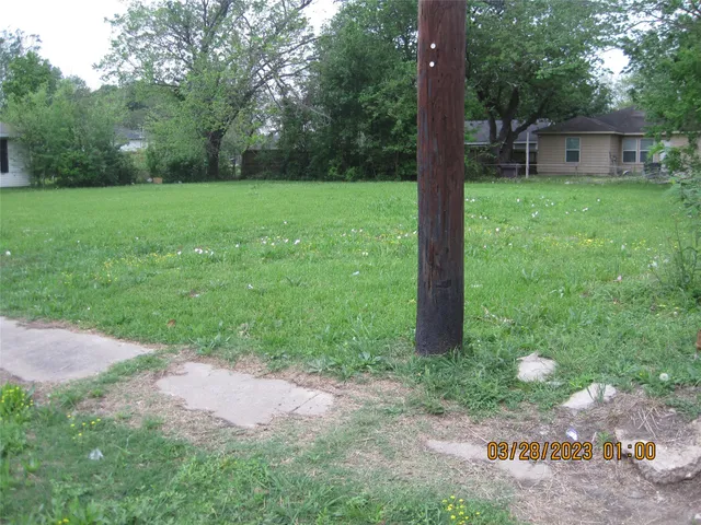 a view of a backyard with large trees and plants