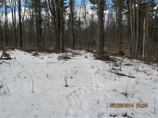 C Prescott Street Rutland, MA 01543 - Photo 9 of 10 Gallery Image 9