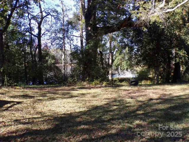 a view of a yard with a tree