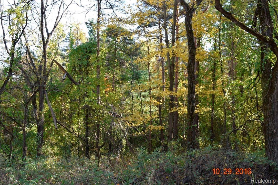 0 Perryville Road Ortonville, MI 48462 - Photo 1 of 14 _DSC0349.JPG