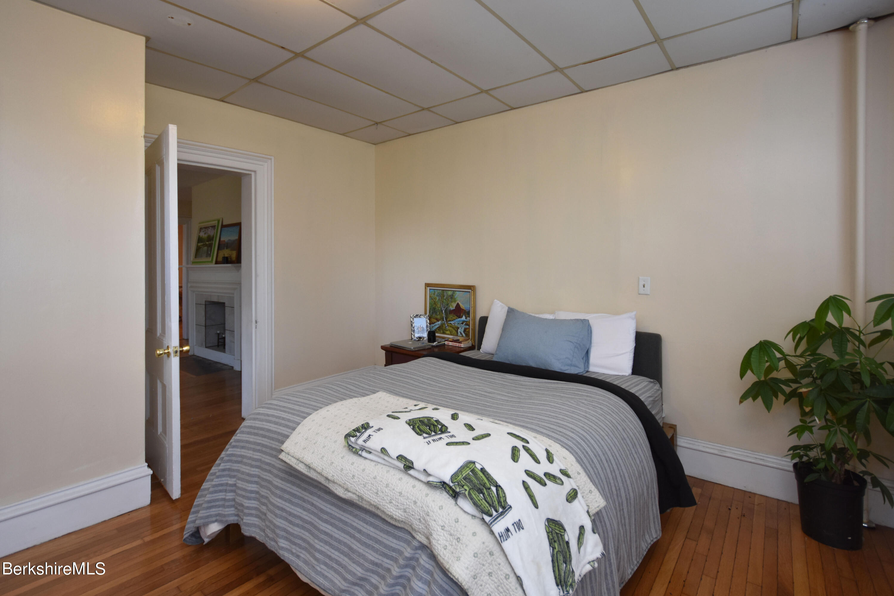 26 Elizabeth Street Pittsfield, MA 01201 - Photo 15 of 43 a bedroom with a bed and a potted plant