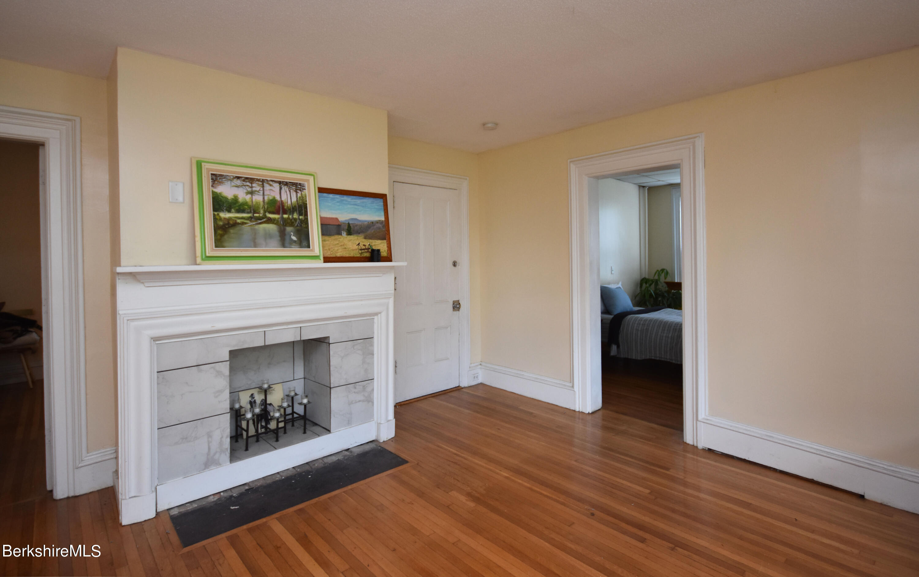 26 Elizabeth Street Pittsfield, MA 01201 - Photo 8 of 43 a view of a livingroom with wooden floor and a fireplace