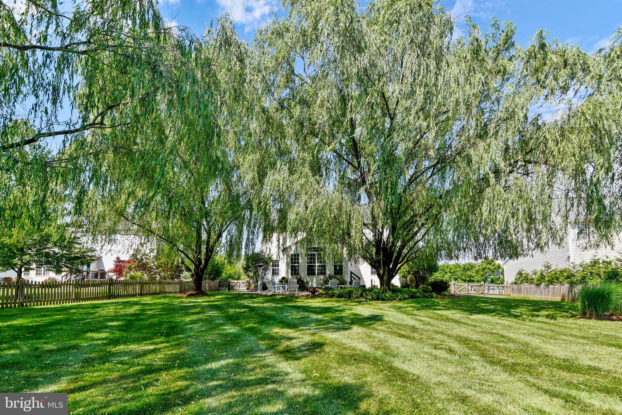 25853 Spring Farm Circle Chantilly, VA 20152 - Photo 72 of 80 Almost 1/2 Acre Lot