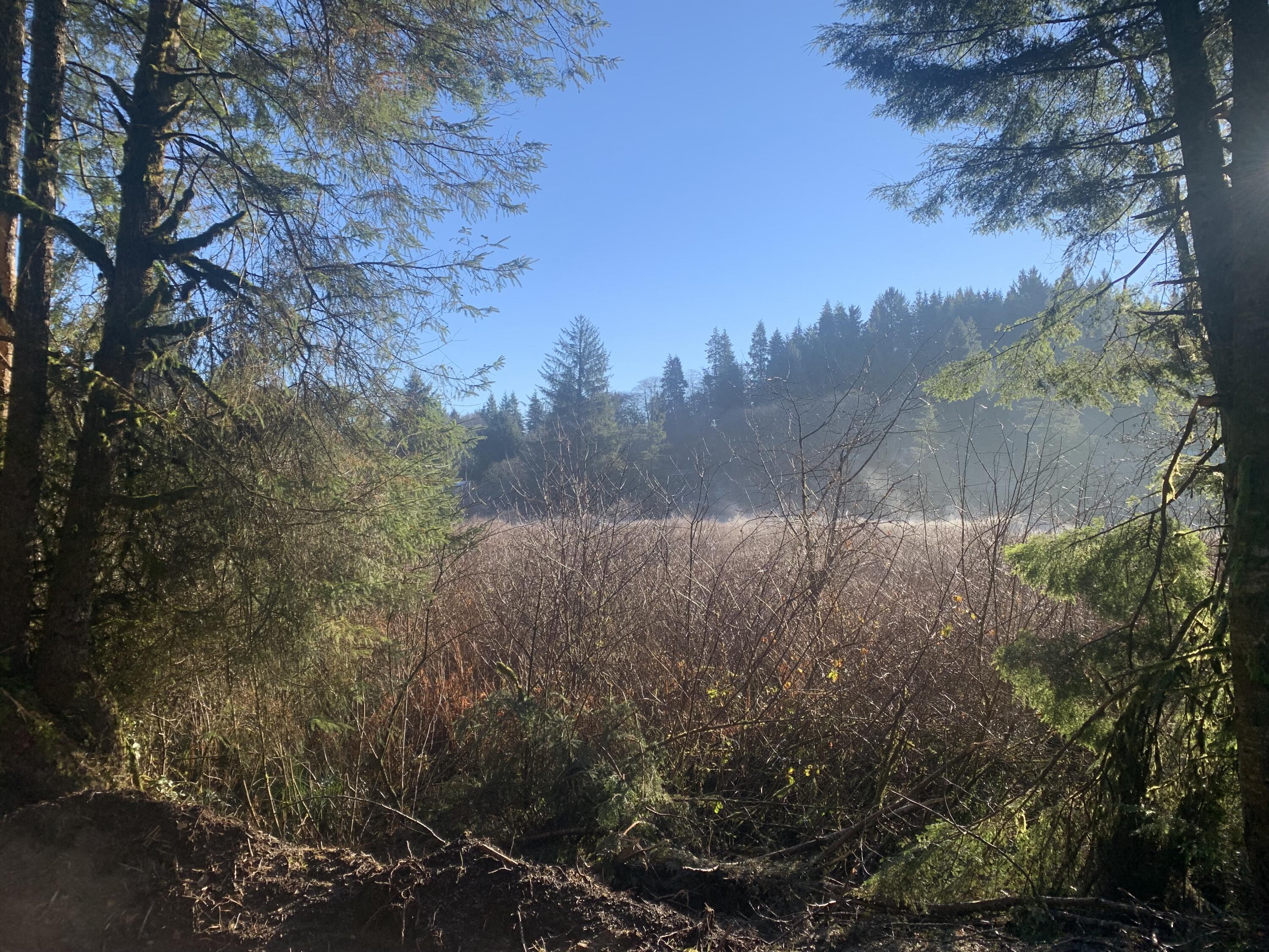 Sutton Creek Tillamook, OR 97141 - Photo 1 of 5 IMG-0816