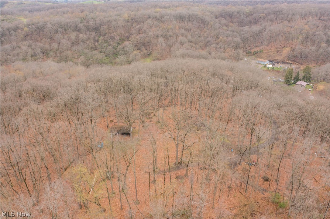 550 Middle Run Road Chester, WV 26034 - Photo 28 of 29