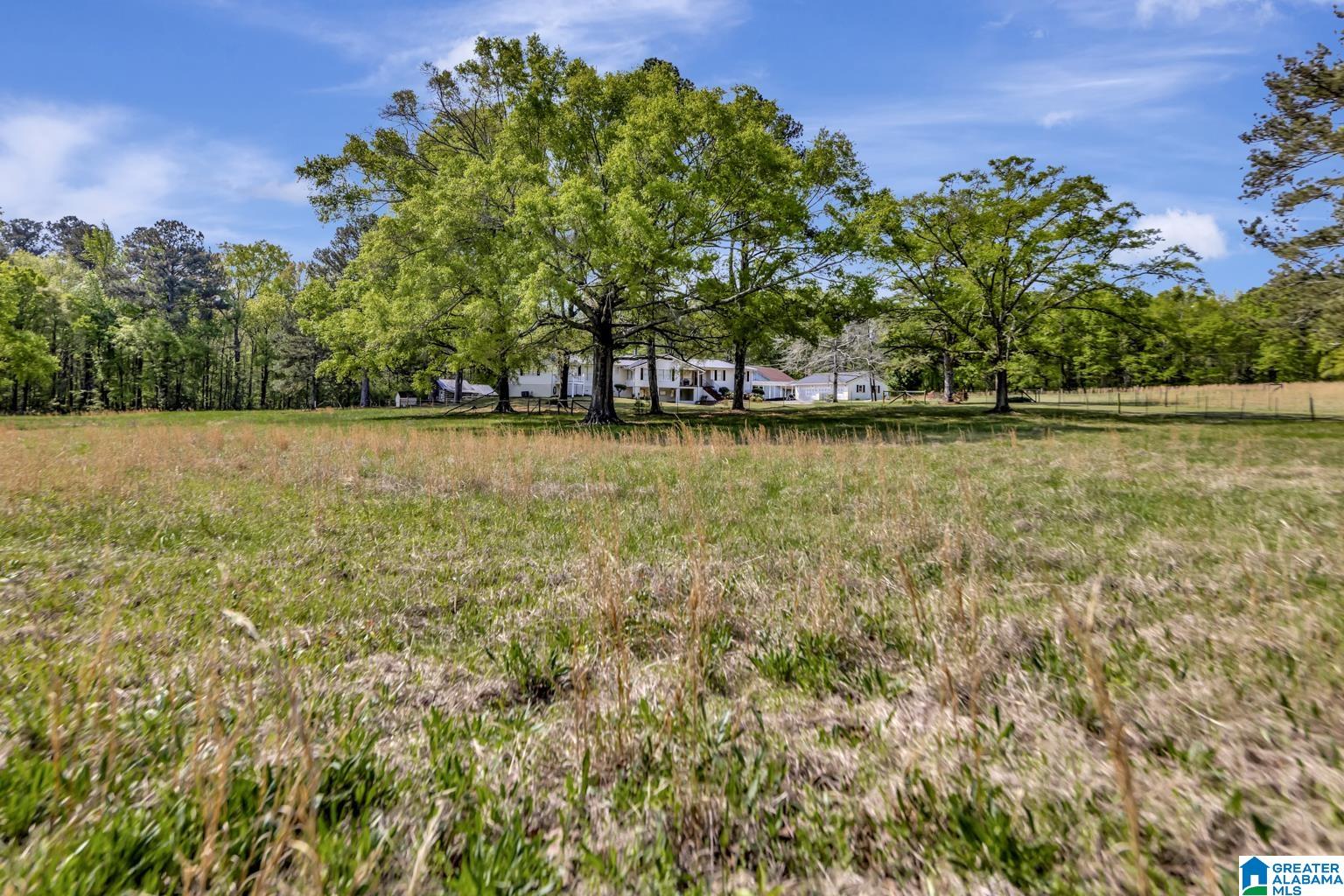 515 Hoyt Hill Road Ashville, AL 35953 - Photo 49 of 49