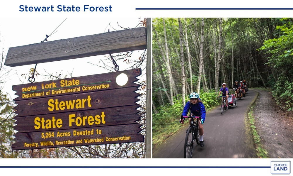 0 Amanda Road Dover, TN 37058 - Photo 15 of 26 a black and white photo of a park