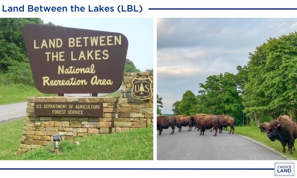 0 Amanda Road Dover, TN 37058 - Photo 17 of 26 a view of outdoor space yard and patio