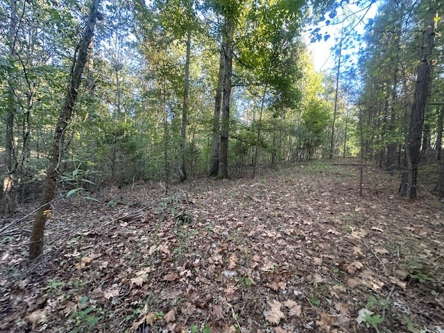 0 Amanda Road Dover, TN 37058 - Photo 2 of 26 a view of a forest with trees in the background