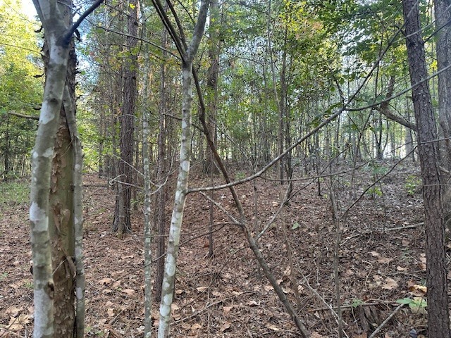 0 Amanda Road Dover, TN 37058 - Photo 25 of 26 a backyard of a house with lots of green space