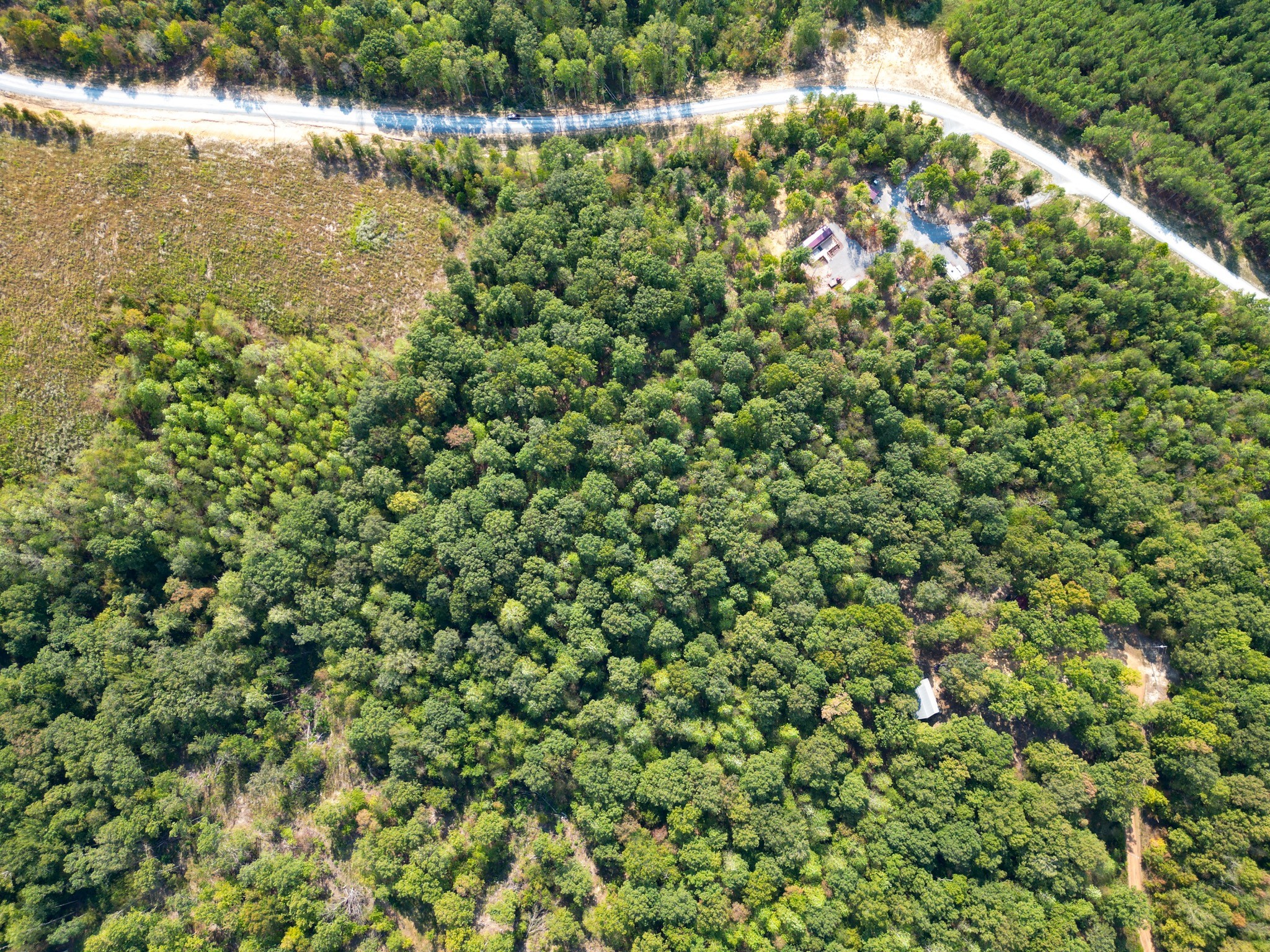 0 Amanda Road Dover, TN 37058 - Photo 3 of 26 a view of a lake with a tree