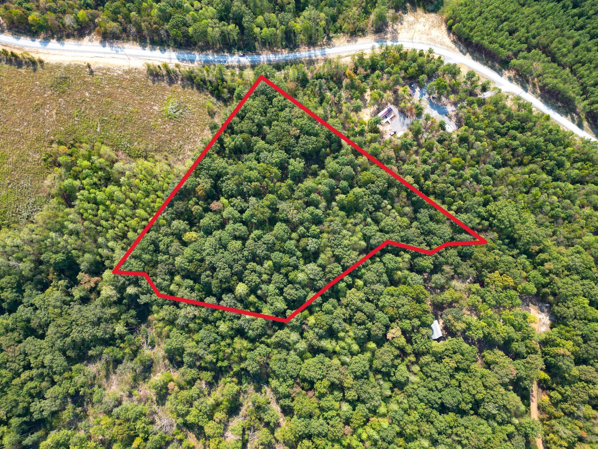 0 Amanda Road Dover, TN 37058 - Photo 4 of 26 a picture of flowers