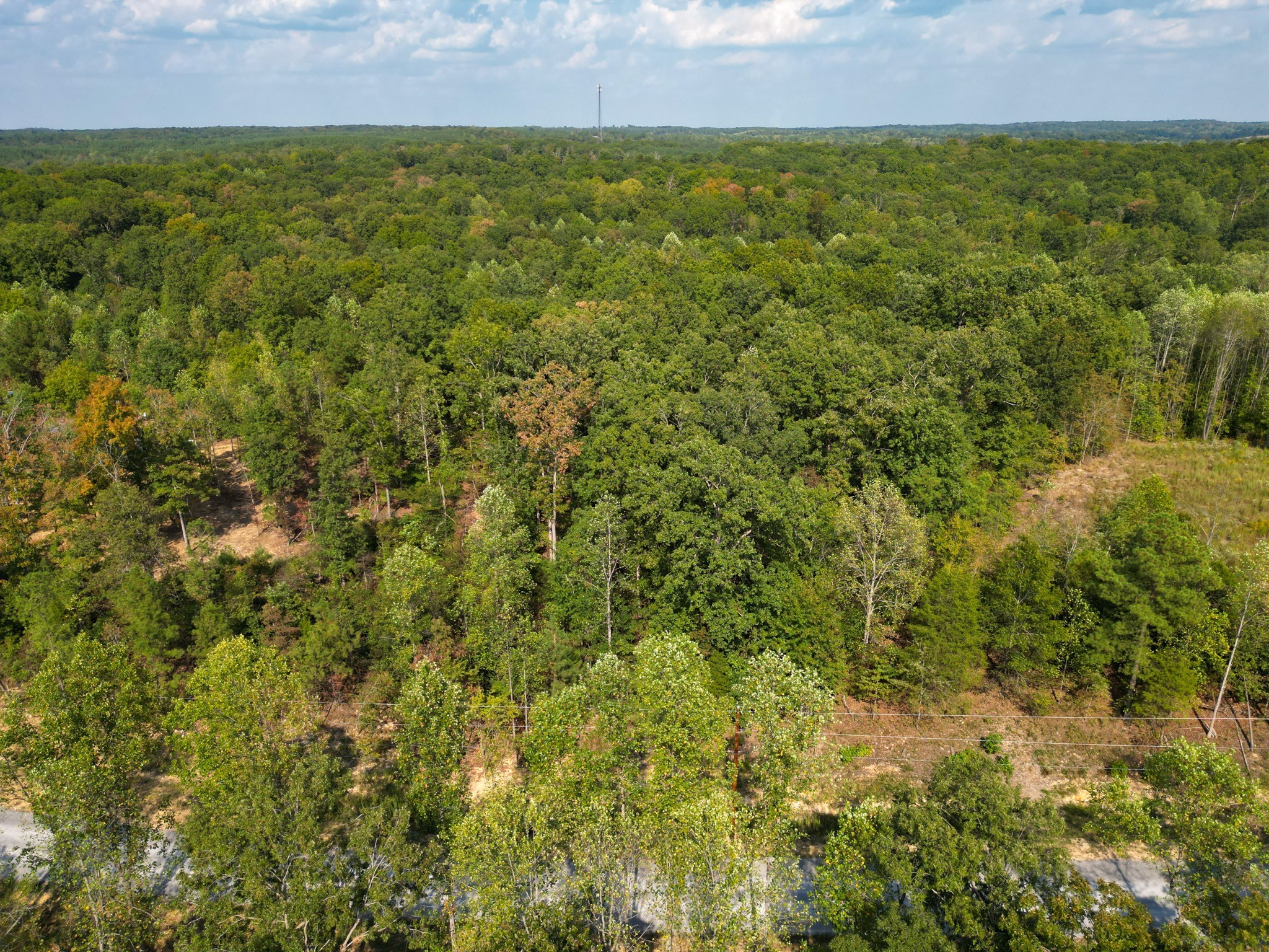 0 Amanda Road Dover, TN 37058 - Photo 7 of 26 a view of yard with green space