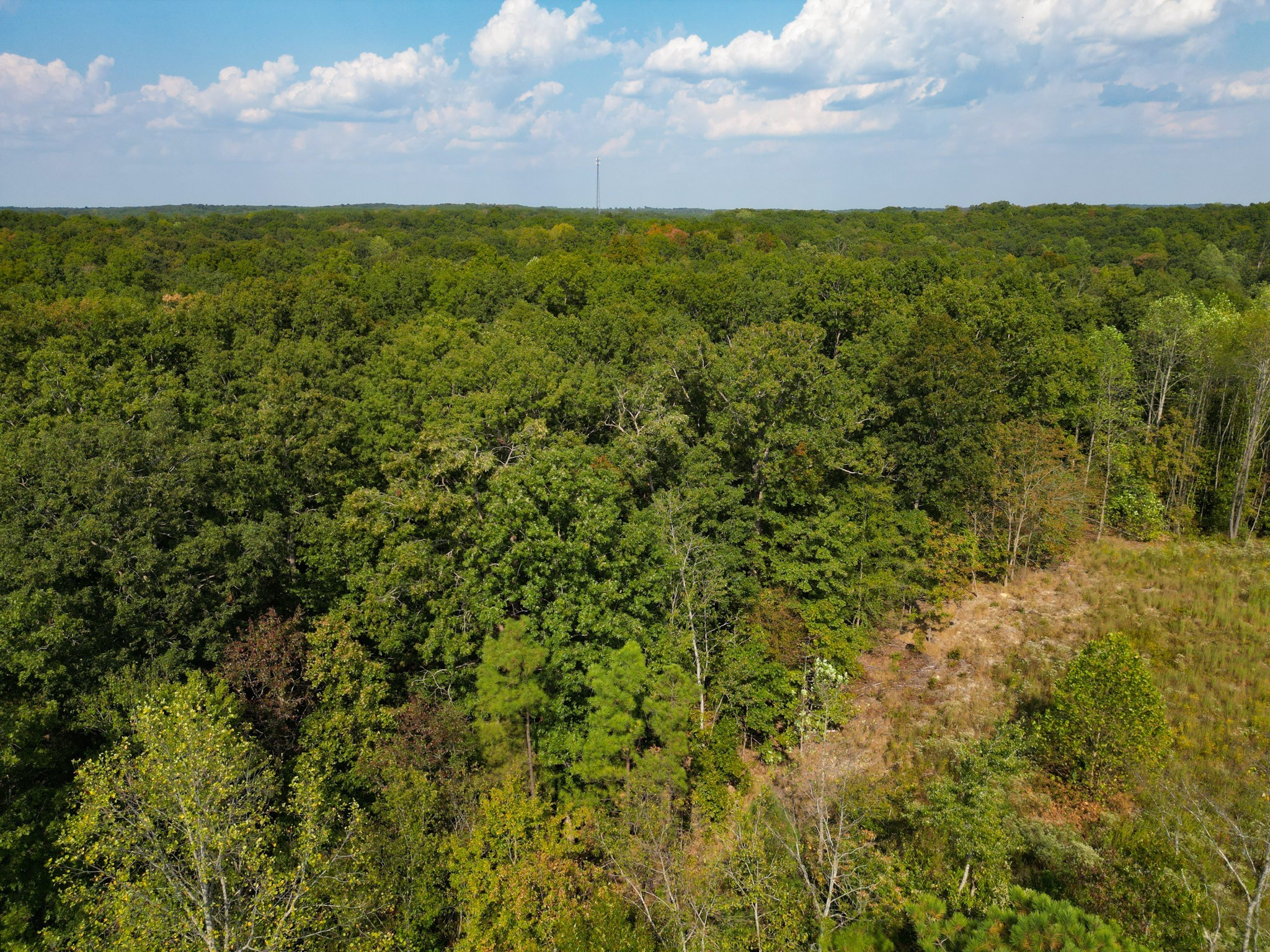 0 Amanda Road Dover, TN 37058 - Photo 8 of 26 a view of a green field with lots of bushes