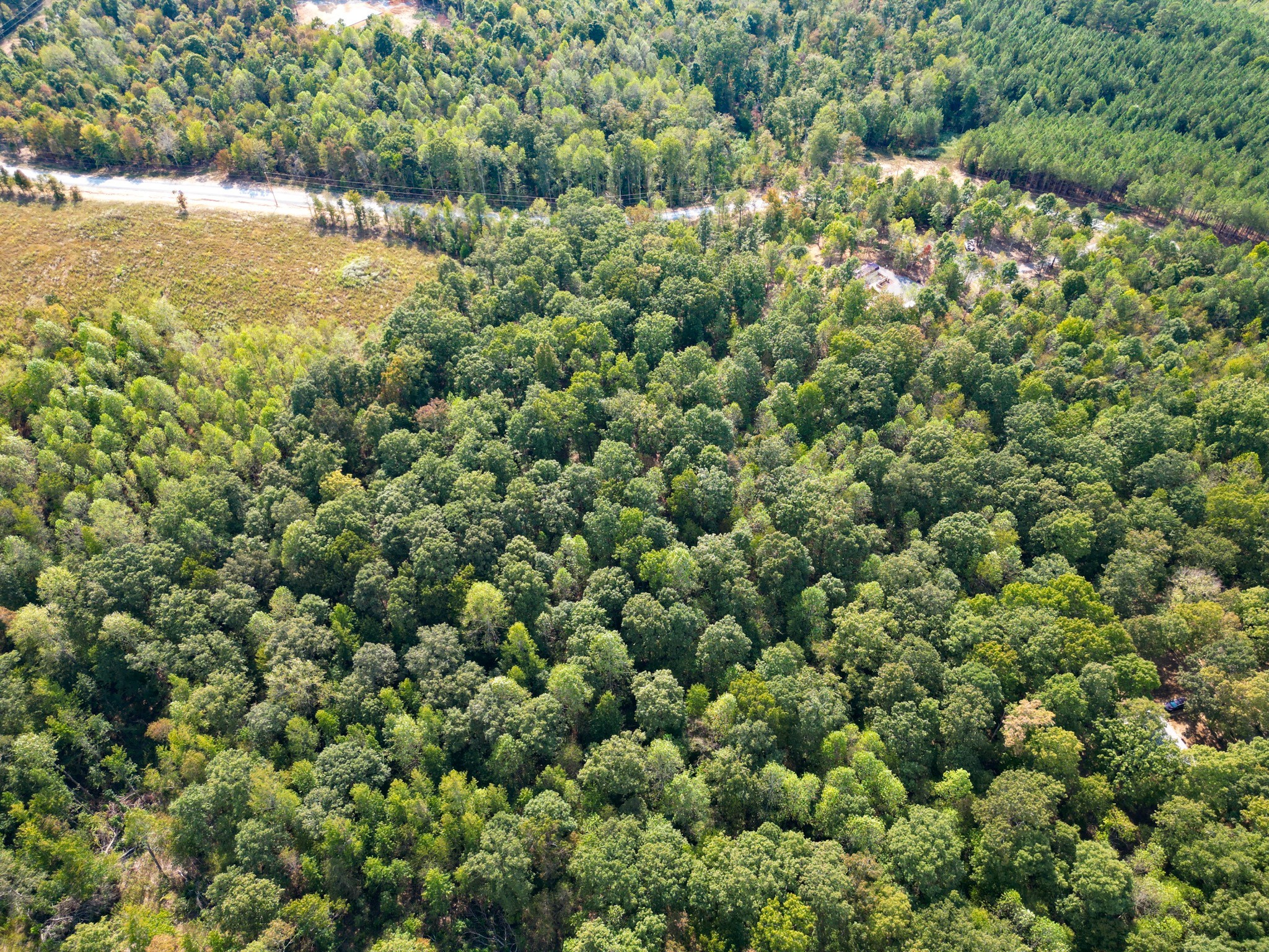 0 Amanda Road Dover, TN 37058 - Photo 9 of 26 a view of a field with an outdoor space