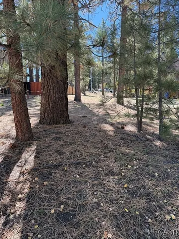 a view of yard with trees