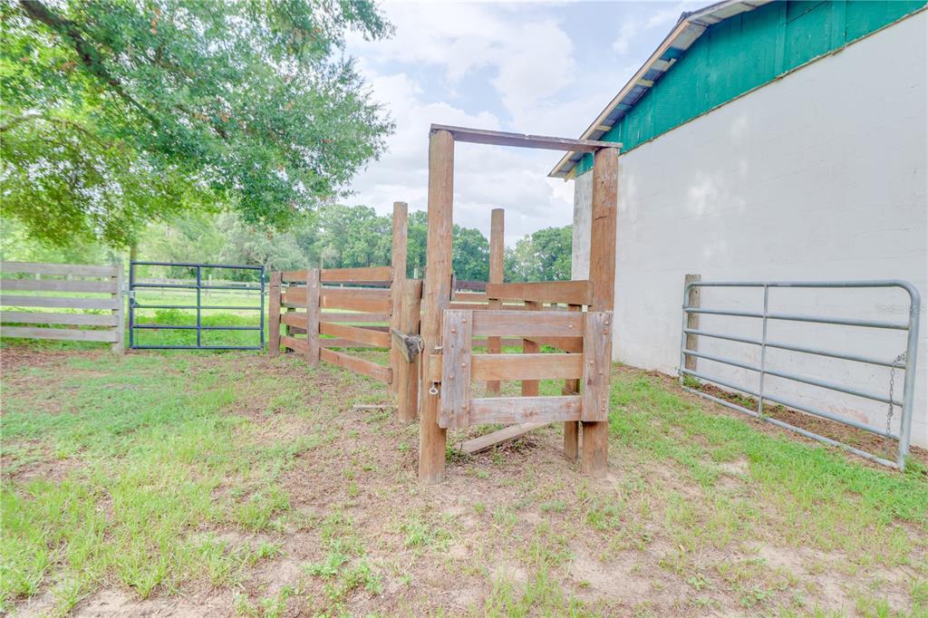 1501 Northeast 97th Street Road Anthony, FL 32617 - Photo 24 of 33 Gallery Image 24