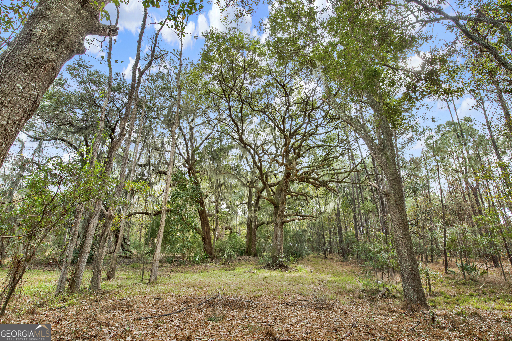 193 Burton Road Savannah, GA 31405 - Photo 20 of 30 a view of outdoor space and trees