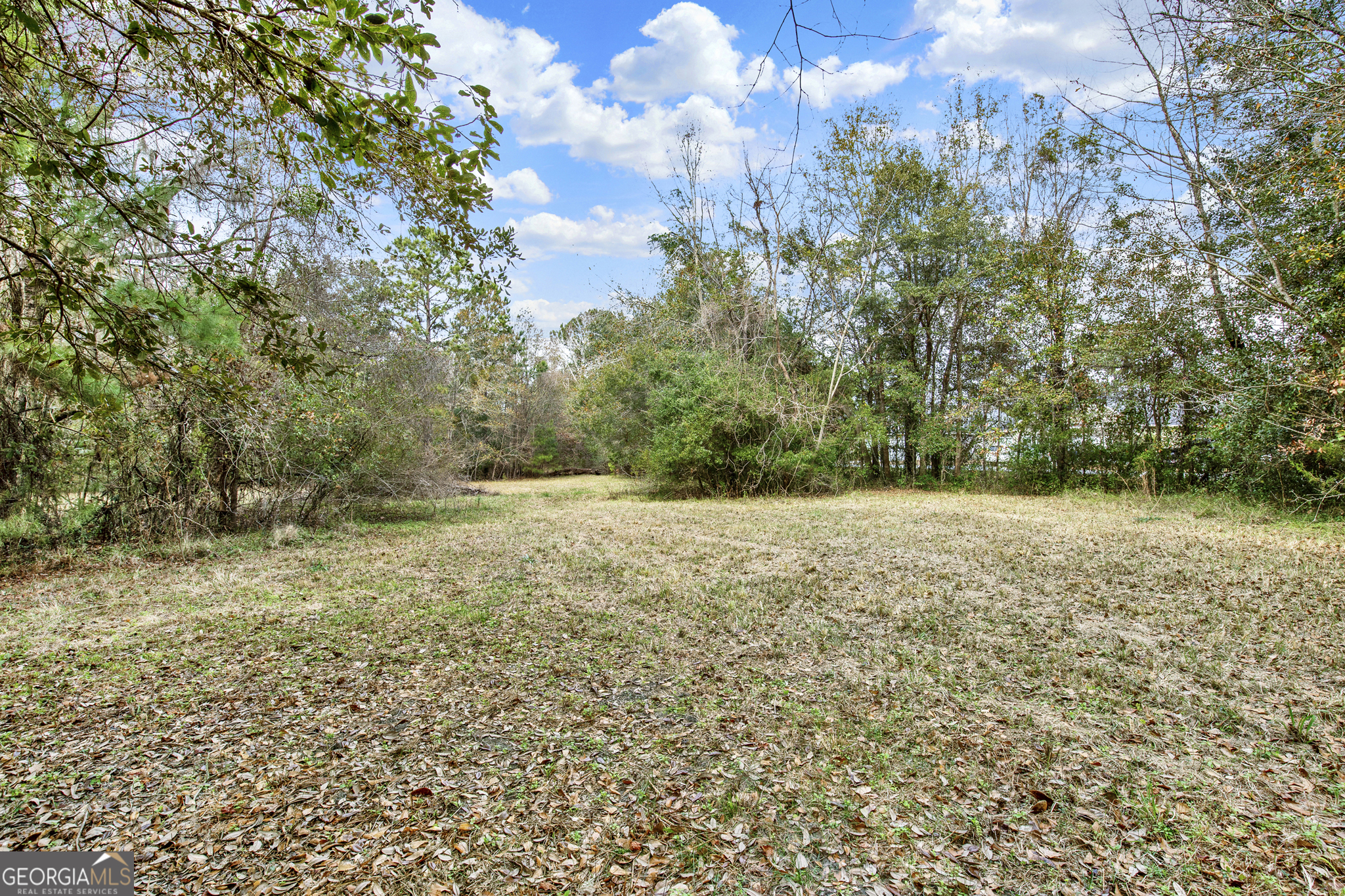 193 Burton Road Savannah, GA 31405 - Photo 24 of 30 a view of outdoor space and yard