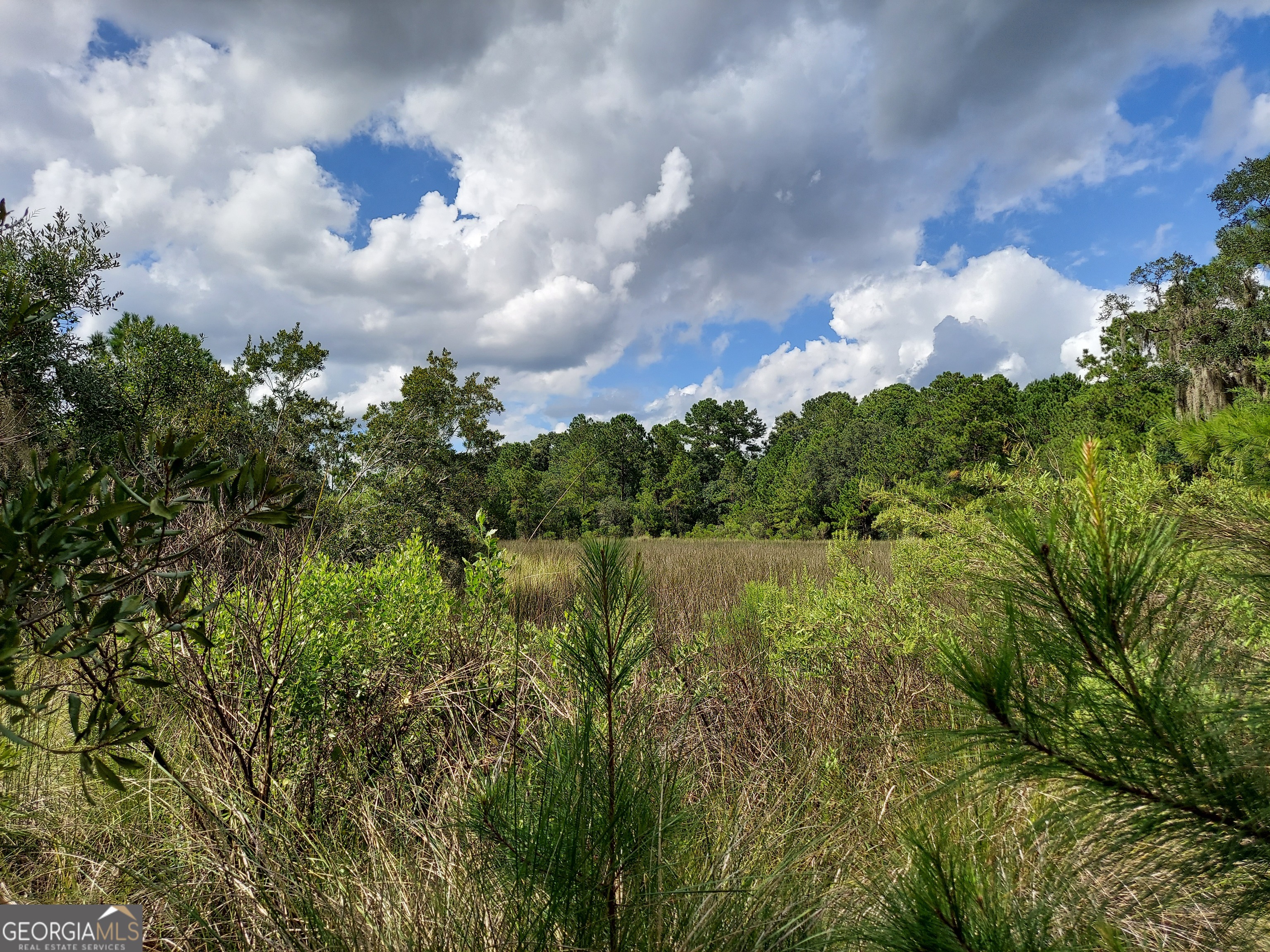 193 Burton Road Savannah, GA 31405 - Photo 4 of 18 a view of a lake