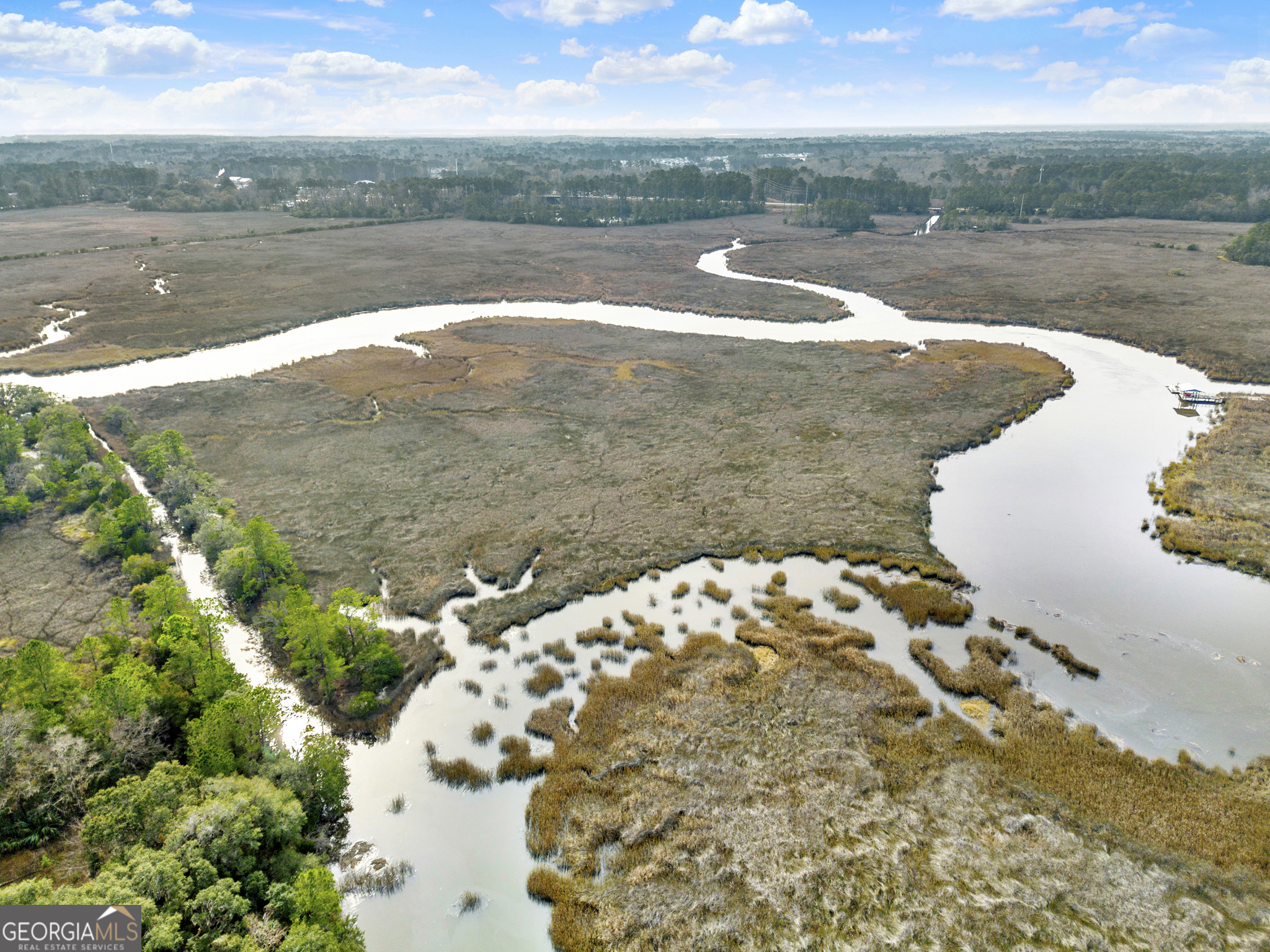 193 Burton Road Savannah, GA 31405 - Photo 4 of 30 a view of a lake