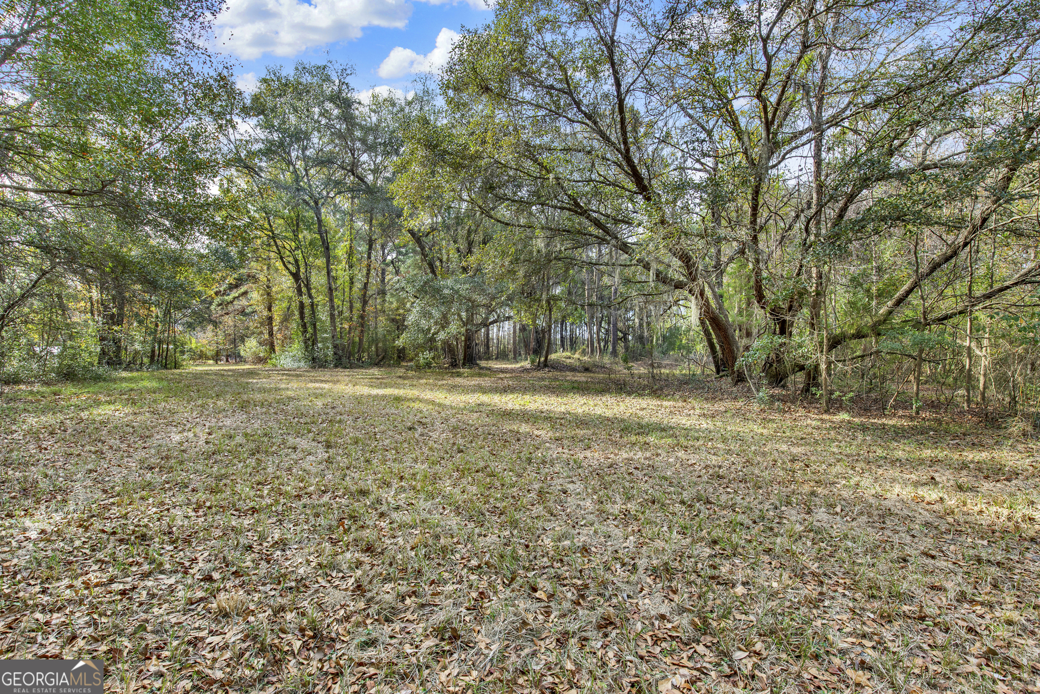 193 Burton Road Savannah, GA 31405 - Photo 7 of 30 a view of outdoor space with trees