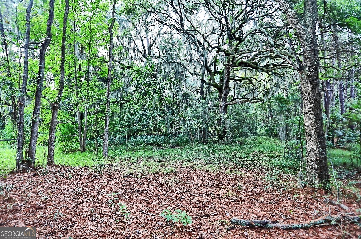 193 Burton Road Savannah, GA 31405 - Photo 8 of 18 a view of a forest with trees in the background