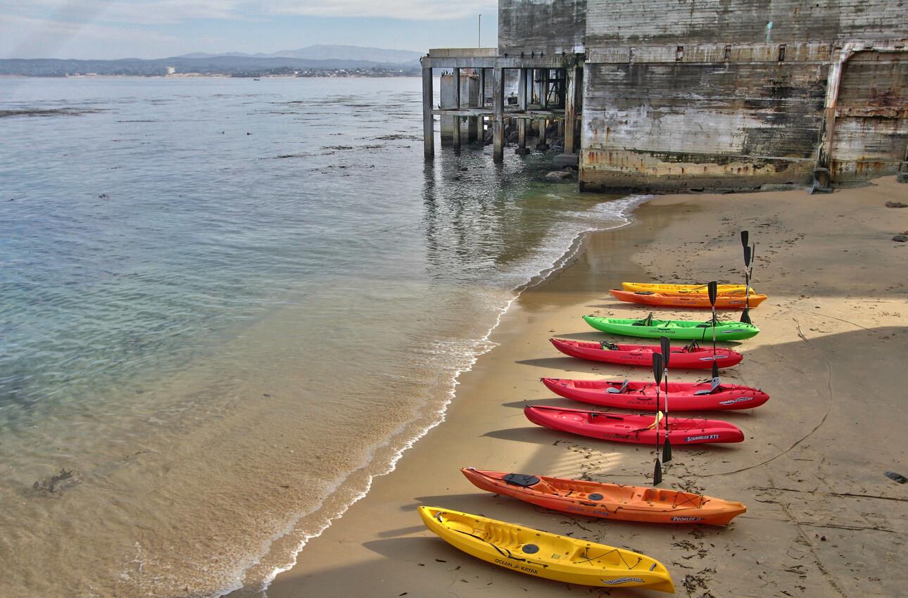 250 Forest Ridge Road, Unit 73 Monterey, CA 93940 - Photo 30 of 35 a vase of flowers sitting on a floor