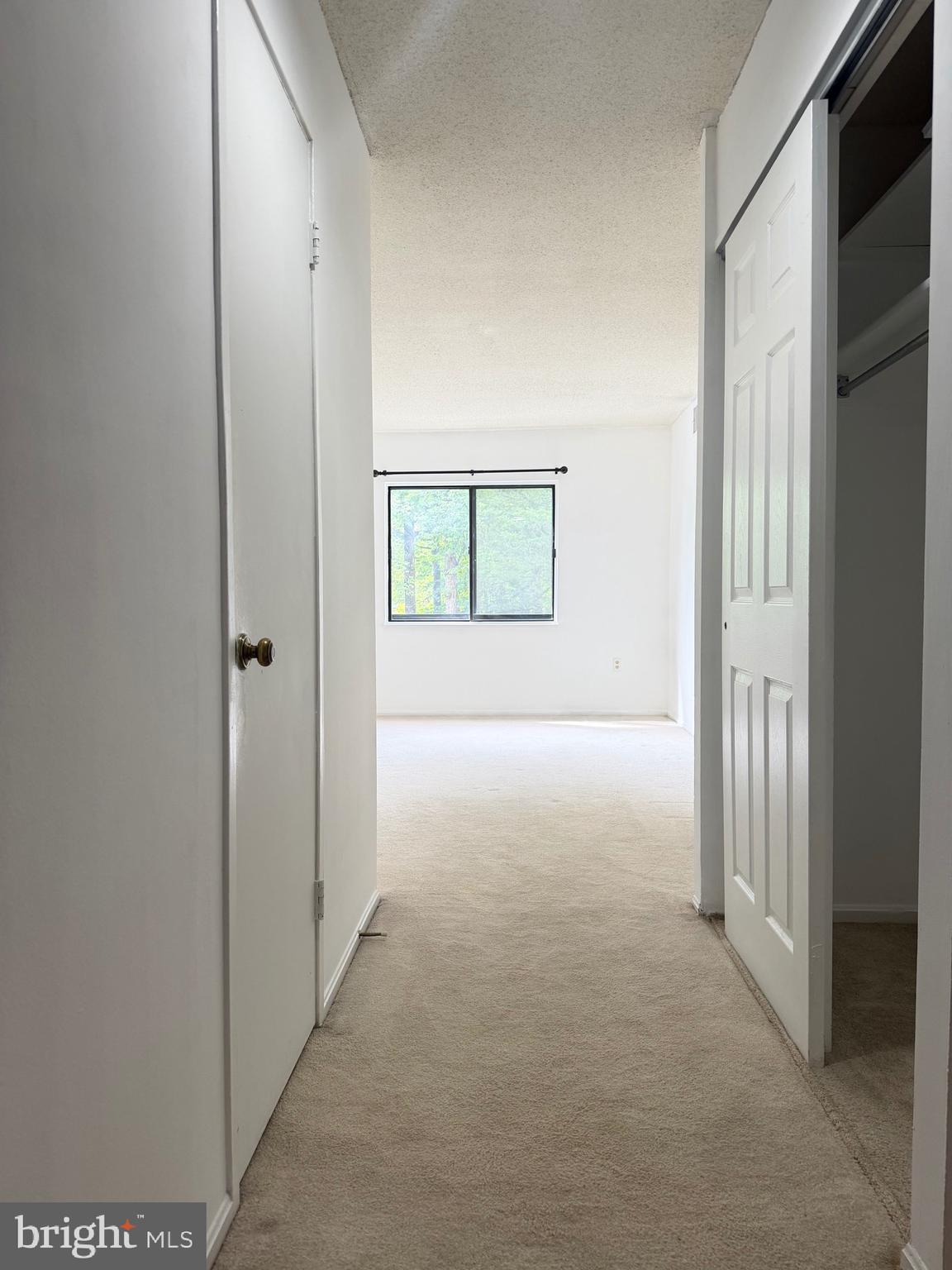 15107 Interlachen Drive, Unit 2119 Silver Spring, MD 20906 - Photo 10 of 27 Spacious Primary Bedroom