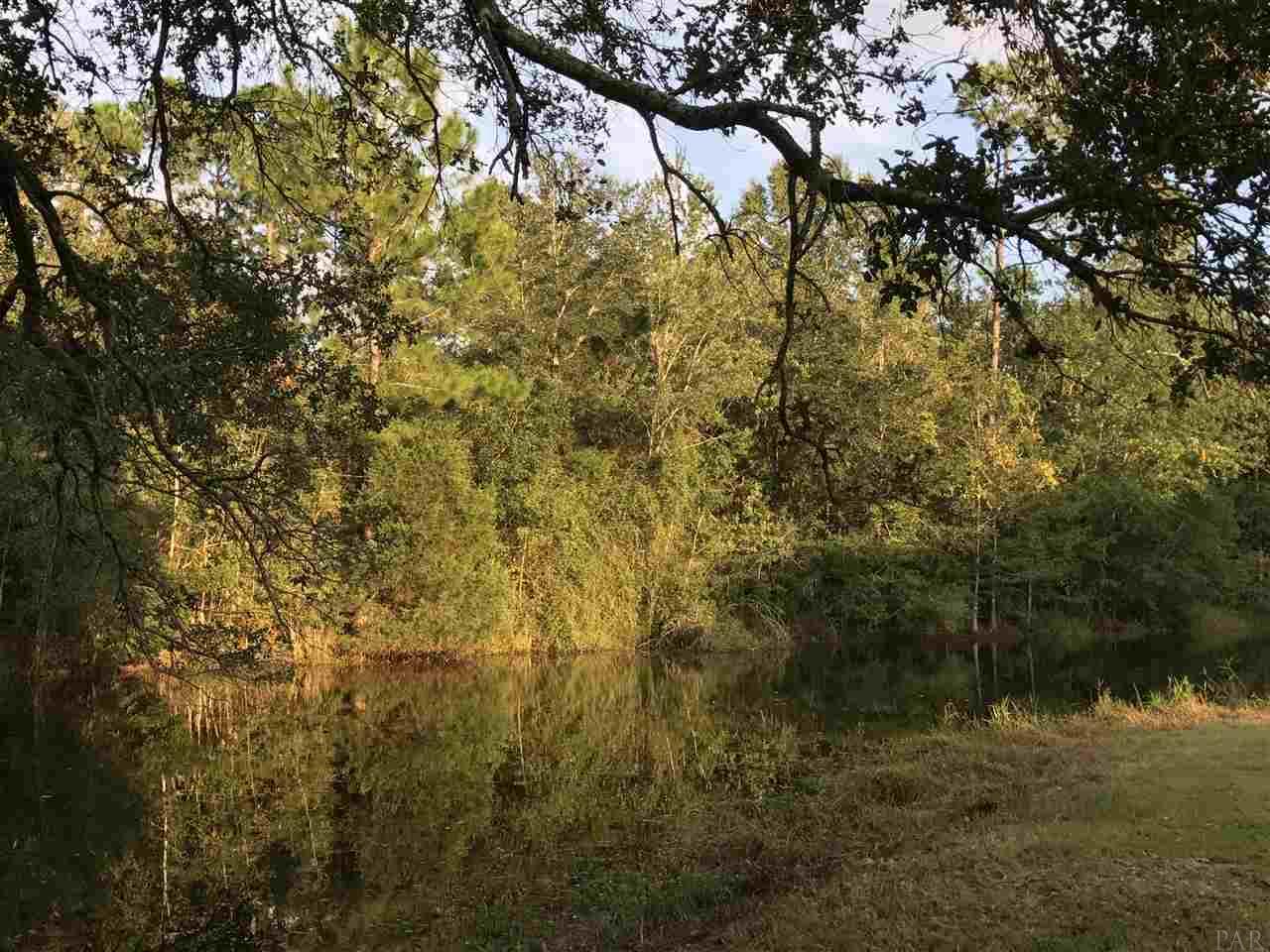 3925 Griffith Road Pace, FL 32571 - Photo 12 of 33 Gallery Image 12