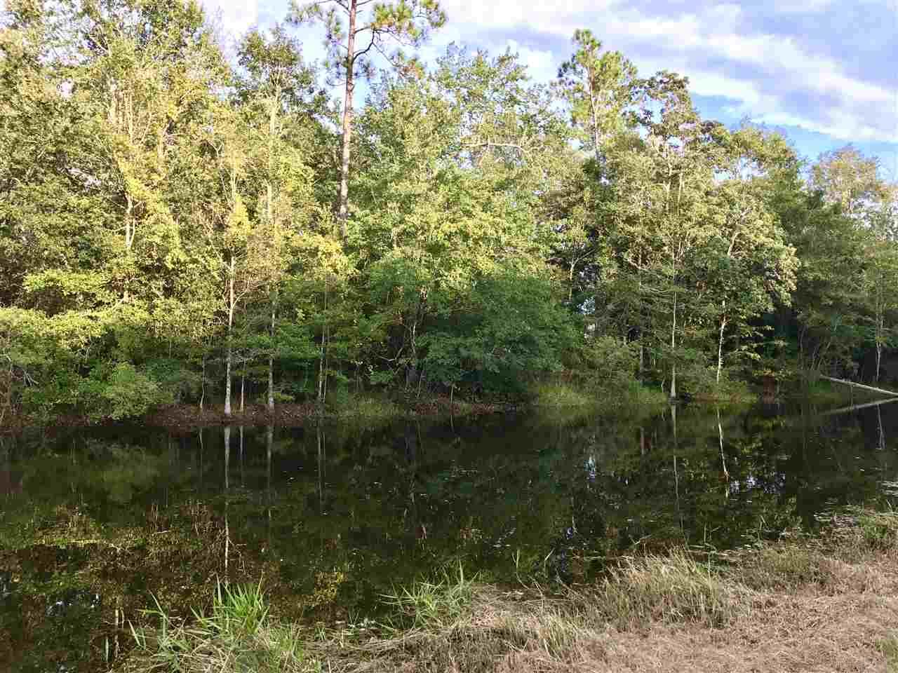 3925 Griffith Road Pace, FL 32571 - Photo 8 of 33 Gallery Image 8