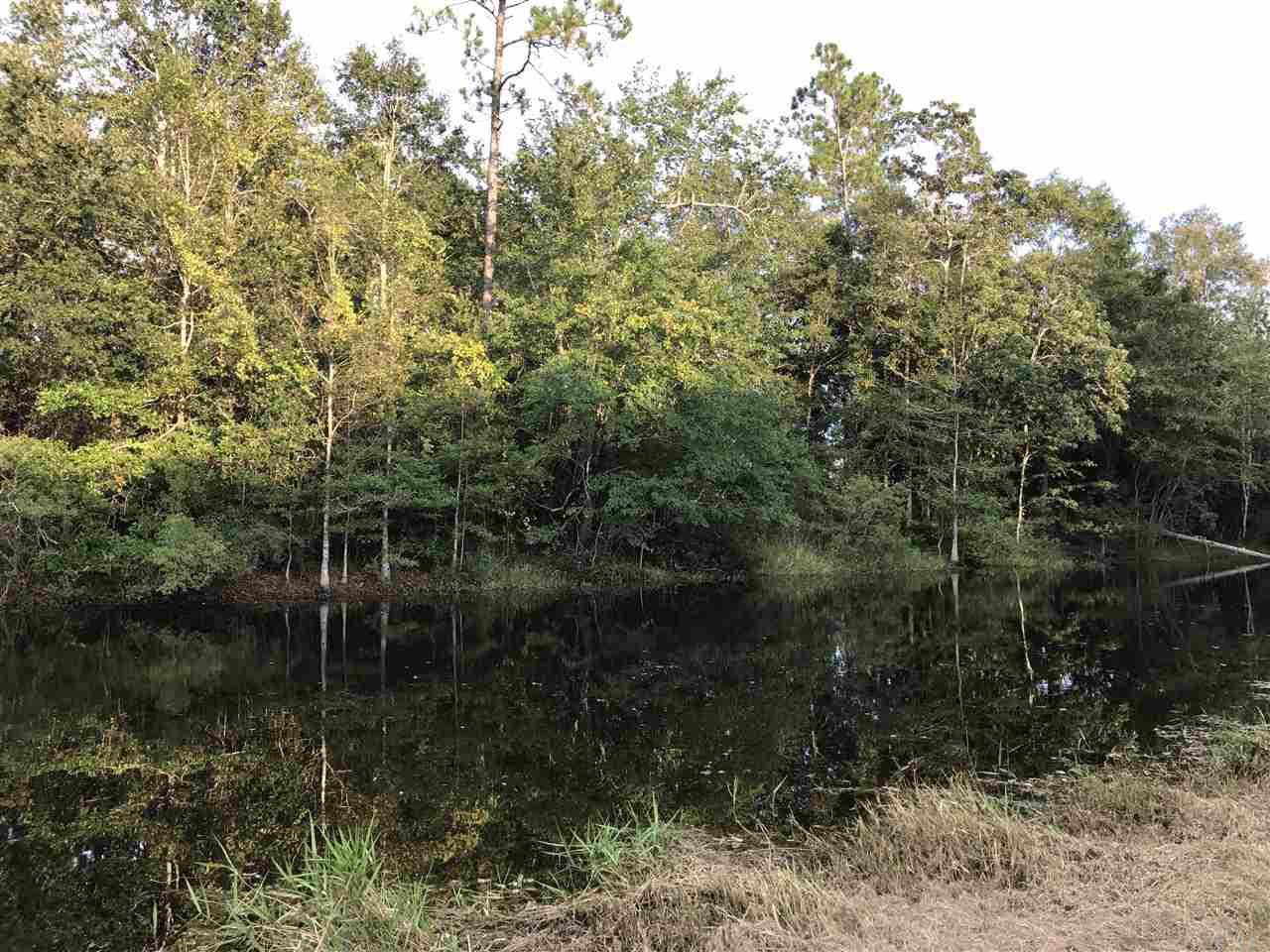3925 Griffith Road Pace, FL 32571 - Photo 10 of 33 Gallery Image 10